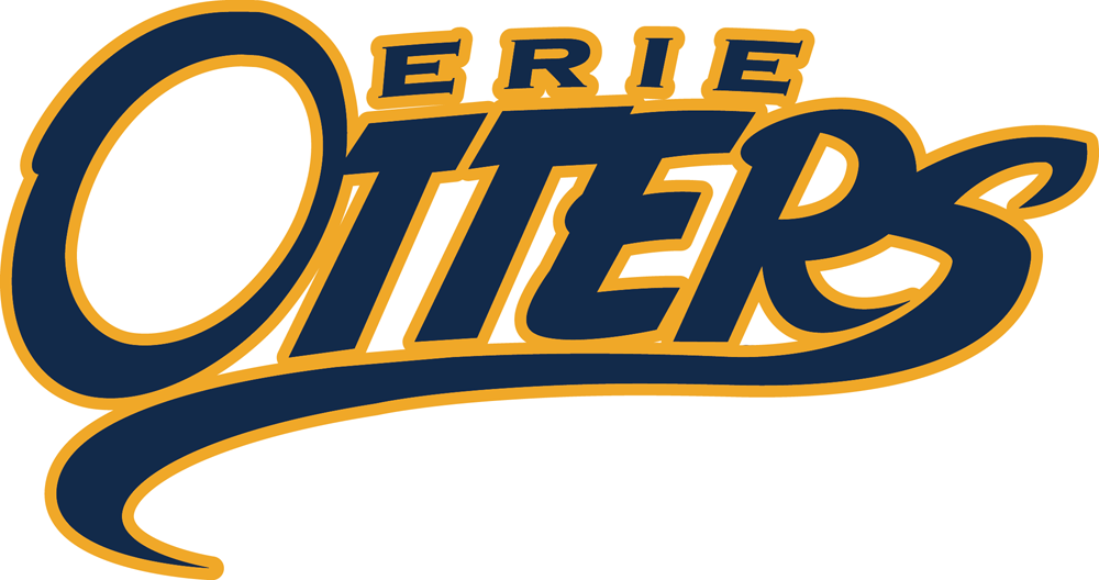 Erie Otters 2016-2019 Primary Logo iron on transfers for clothing